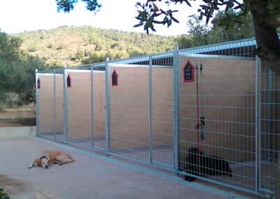 Perros disfrutando en Can Olivera (1)